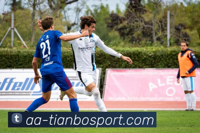 App Interface Preview