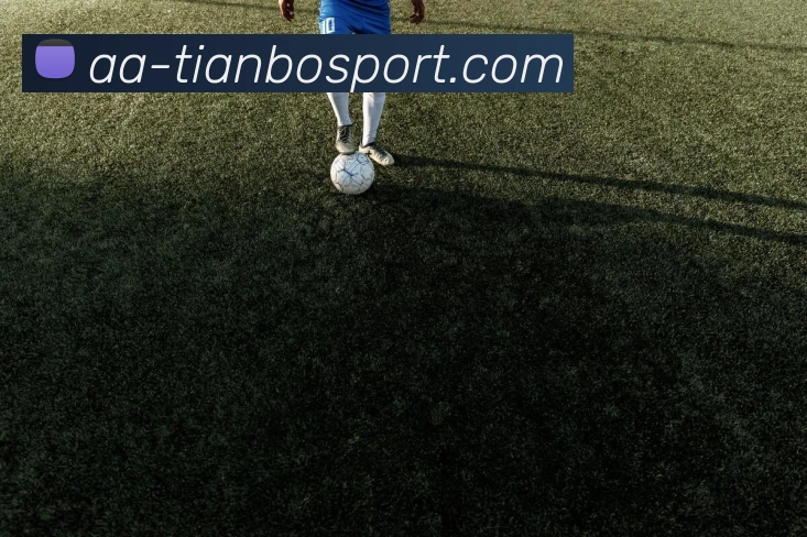 天博足球APP 封面图