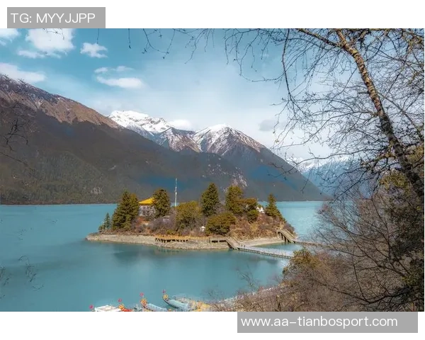 土耳其调查3700名球员涉嫌博彩行为并审查其资产情况